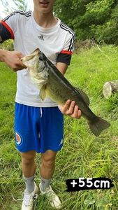 Achigan à Petite Bouche (Black-Bass)