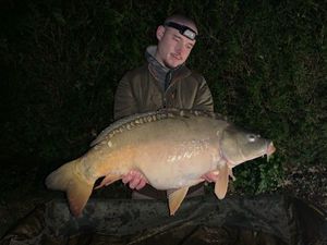Mirror Carp