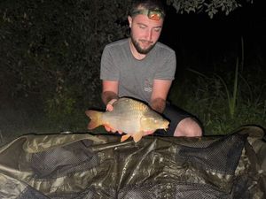 Common Carp