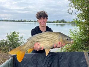 Common Carp