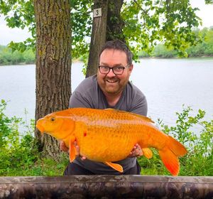 Koï Fish