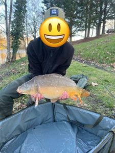 Mirror Carp
