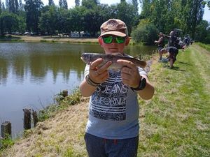 Rainbow Trout