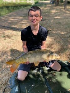 Common Carp