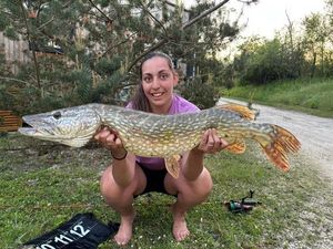 Northern Pike