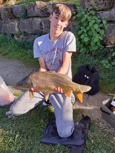 Mirror Carp