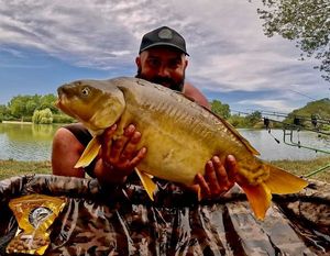 Mirror Carp