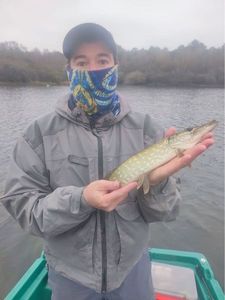 Northern Pike