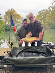 Common Carp