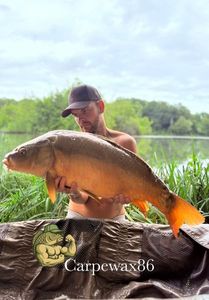 Leather Carp