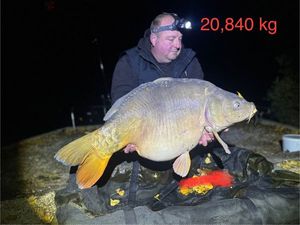 Mirror Carp