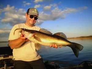Zander