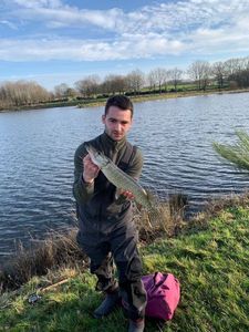 Northern Pike