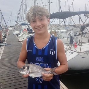 Black Seabream