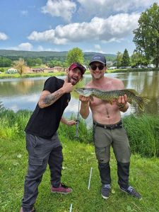 Northern Pike