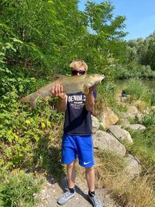 Barbel