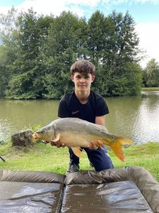 Mirror Carp