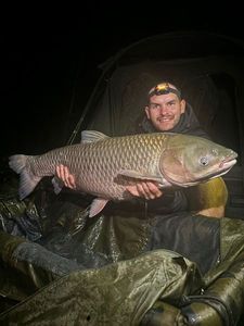 Grass Carp