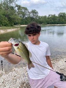 Smallmouth Bass