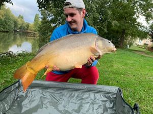 Common Carp