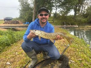 Northern Pike