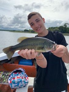 Largemouth Bass