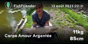 Silver Carp