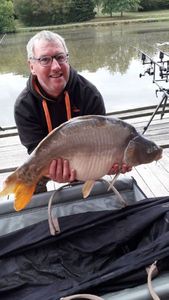 Mirror Carp