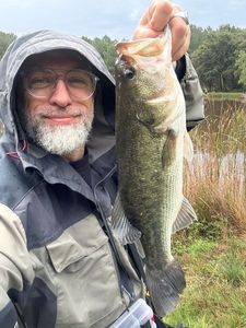 Smallmouth Bass