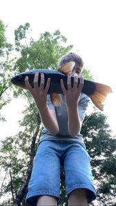Tench