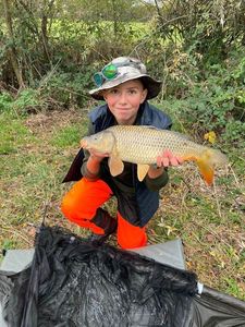 Common Carp