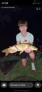 Common Carp