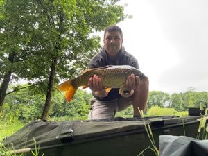 Common Carp