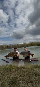 Leather Carp