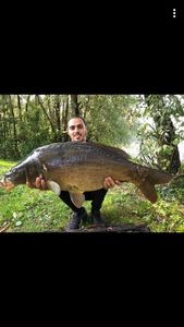 Mirror Carp