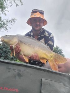 Mirror Carp