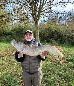 Northern Pike