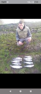 Rainbow Trout