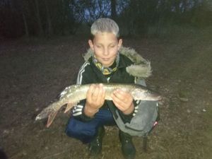 Northern Pike