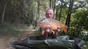 Mirror Carp