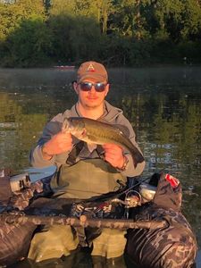 Largemouth Bass