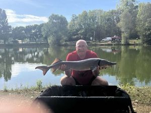 Sturgeon