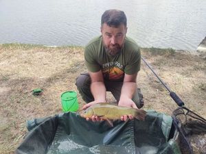Tench