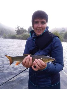 Barbel