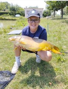 Common Carp
