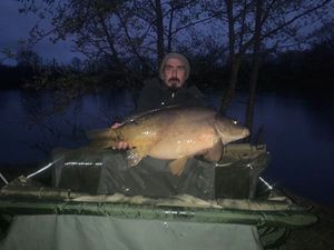 Mirror Carp