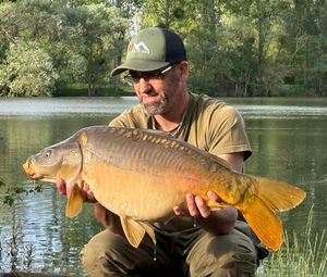 Mirror Carp