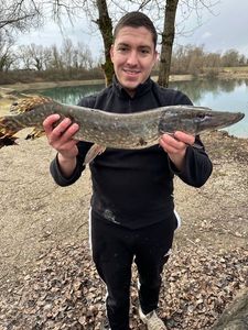 Northern Pike