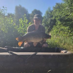 Common Carp