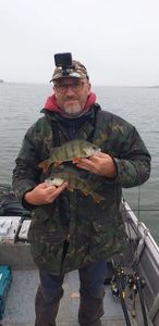 European Perch